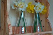 Rustic wall or stand flower / plant propagation