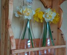 Rustic wall or stand flower / plant propagation
