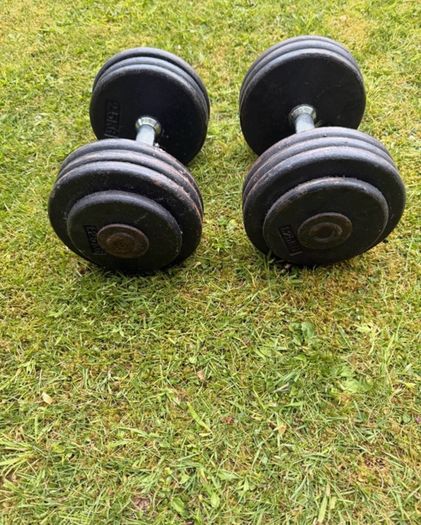 17.5kg Dumbbells x2