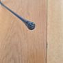 AKG CGN 321 E microphone Image 3