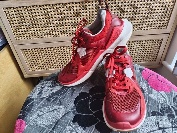 ECCO trainers