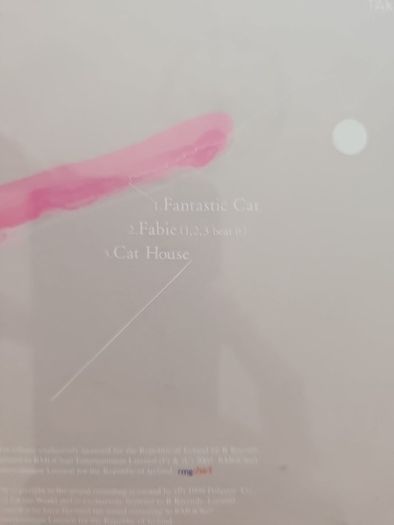Takako Minekawa CD - Fantastic Cat