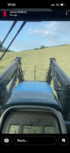 Organic Hay