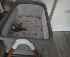 Babylo crib