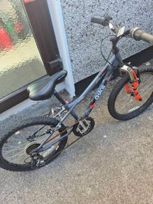free bike read description