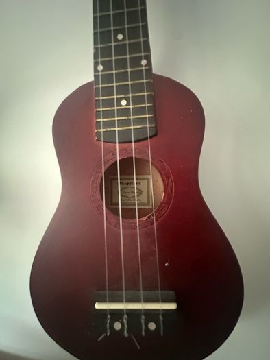 Beginner Ukalele