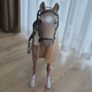 Horse Image 4