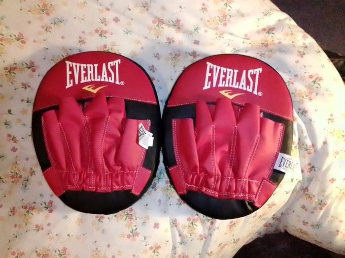 Everlast punch mitts