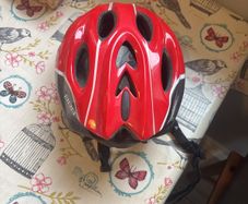 helmet