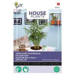 (P) Buzzy House Plant Dwarf Palm seeds 15s (840107)