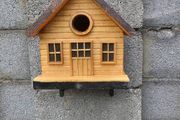Bird house
