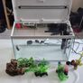 fish tank Image 2