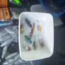 Fishing rods and gear Image 5