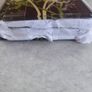 Set Of 4 Glass Costar's By Torre Tagus Collection. Image 2