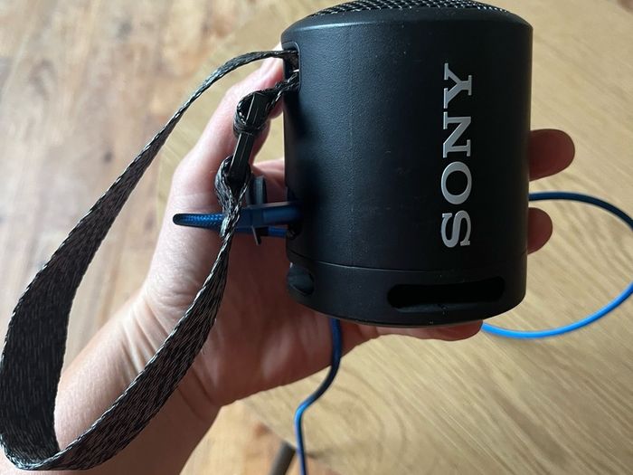 Sony speaker