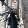 Pinarello Treviso 56cm Campagnolo Record 10 sp Image 10