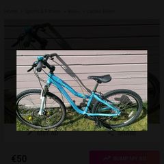 Raleigh bike