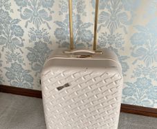 Suitcase Ted Baker Large Case