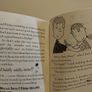 Indie Kidd: Oops, I Lost My Best(est) Friends Storybook Image 7