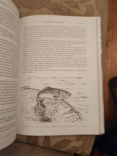 The Fields In Winter. Sporting Memories Of A Bygone Age.  By Graham Downing. First Edition Hardback With Dustjacket In Good Condition.