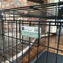 Dog Cage Image 4