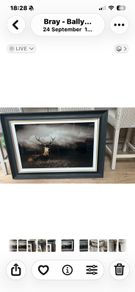 Stunning Framed Picture