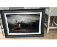 Stunning Framed Picture
