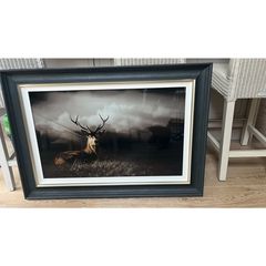 Stunning Framed Picture