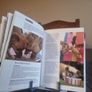 Chihuahua: Dog Breed Expert Series (Hardcover Image 4