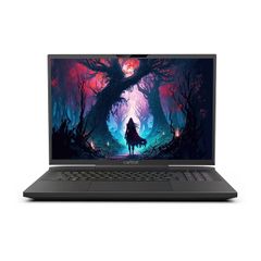 Captiva Notebook Advanced Gaming I82-402NLi9-13900H