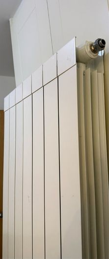 Aluminium Vertical Radiator With Valves