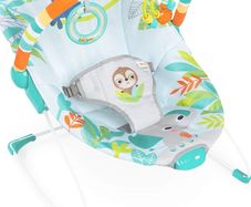 Soothing Baby Bouncer