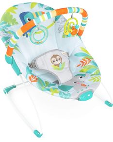 Soothing Baby Bouncer