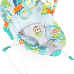 Soothing Baby Bouncer