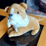 English  Bulldog Stuffed Image 3