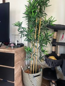 IKEA Artificial Plant + Basket Pot