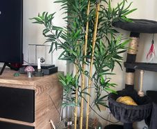 IKEA Artificial Plant + Basket Pot