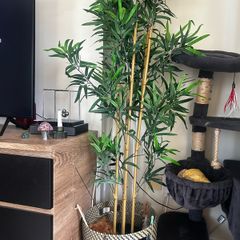 IKEA Artificial Plant + Basket Pot