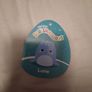 Lune the Squishmallow Image 2