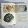 THE WORLD OF FOSSILS (Vittorio de Zanche & Paolo Mietto) - a Sampson Low Guides hardback book (1979) Image 6
