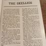 1981 The Skelligs. Tim O'Shea. Vintage. Ireland. Image 4
