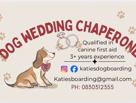 Dog Wedding Chaperone