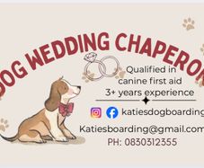 Dog Wedding Chaperone