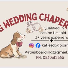 Dog Wedding Chaperone