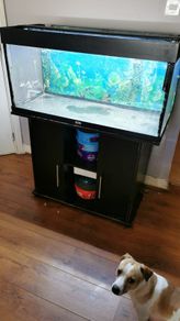 180 litre