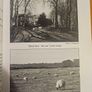 Sheep, Shite And Soldiers.by Michael Mcdonough. Signed First Edition Large Volume Paperback In Good Condition.  See Photos For Same. Image 8