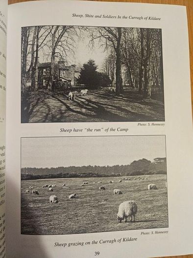 Sheep, Shite And Soldiers.by Michael Mcdonough. Signed First Edition Large Volume Paperback In Good Condition.  See Photos For Same.