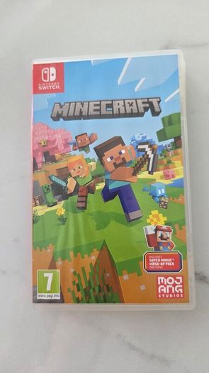 nintendo switch + minecraft