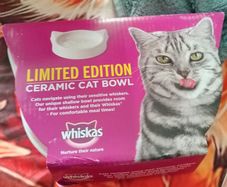 cat bowl