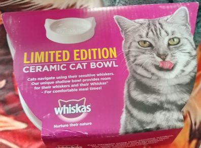 cat bowl